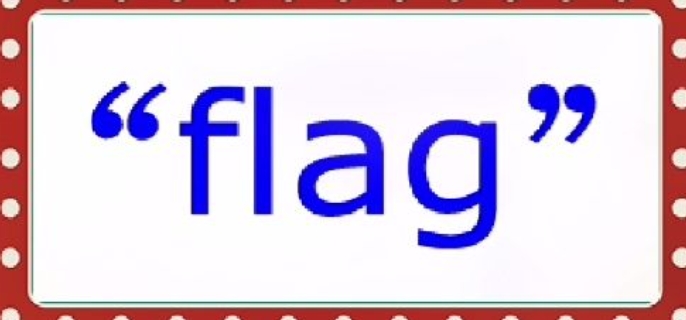 flag是什么意思